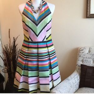 TAYLOR  Halteer top barwire